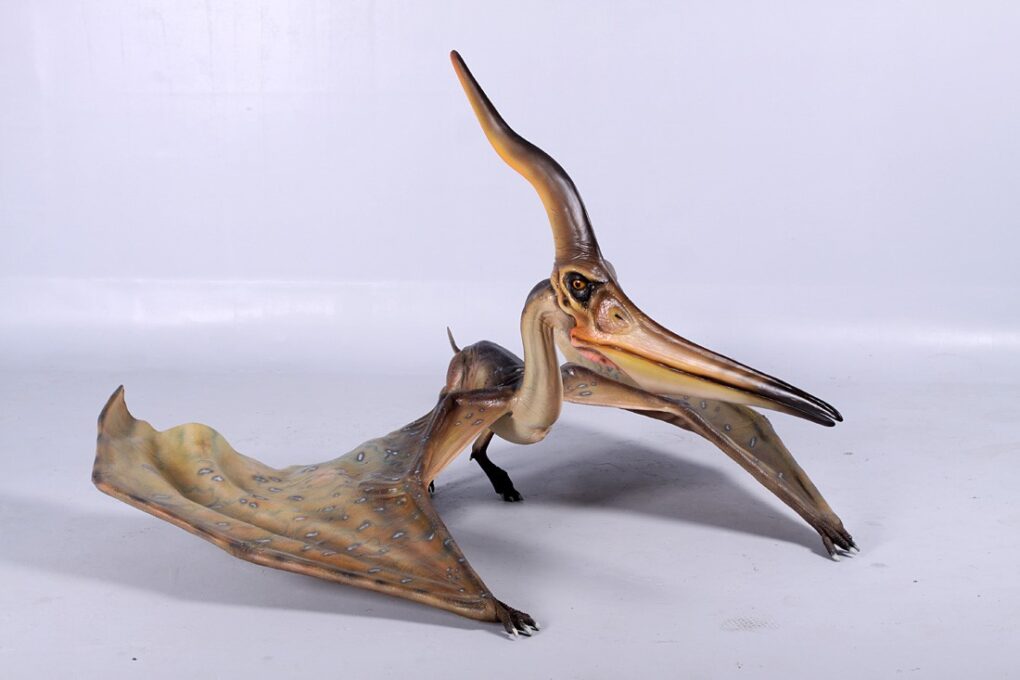 PTERANODON INGENS - STANDARD FINISH - JR 140072 - Image 3