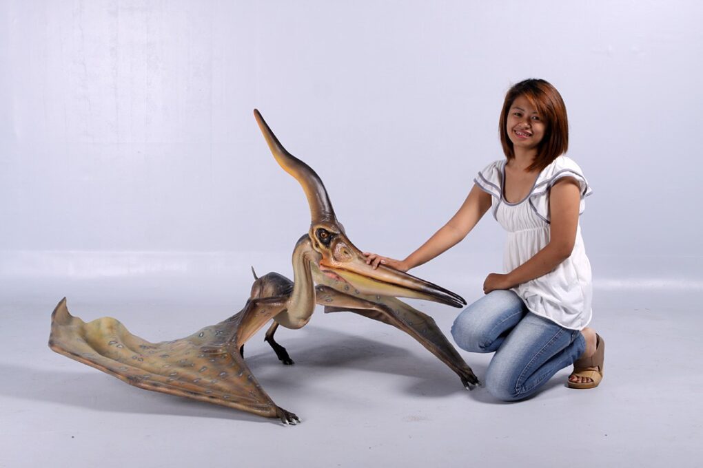 PTERANODON INGENS - STANDARD FINISH - JR 140072