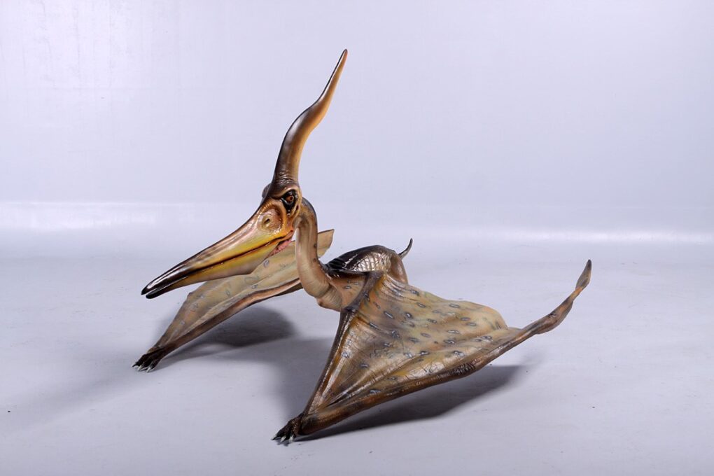 PTERANODON INGENS - STANDARD FINISH - JR 140072 - Image 6