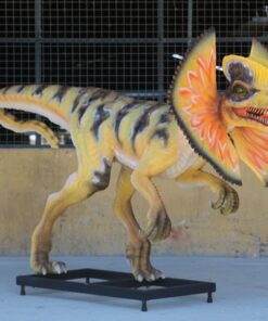 VENENIFER WITH DORSAL FIN JR 3139